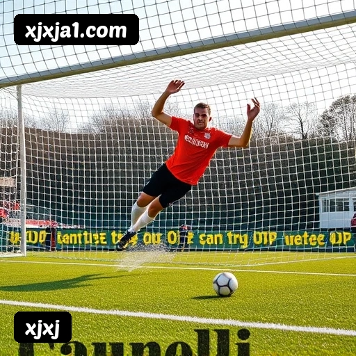 Níveis do programa VIP da xjxj